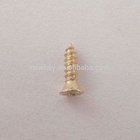 China Supplier Pan Head Self Tapping Screw For Box Locks And Hinges